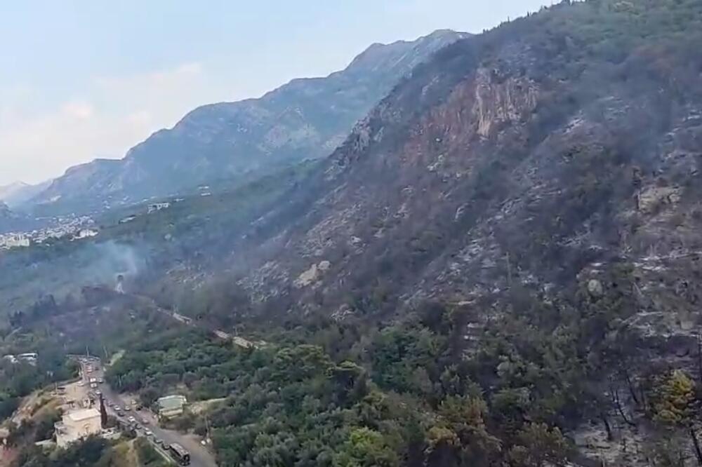 Foto: Screenshot/@defence_mne