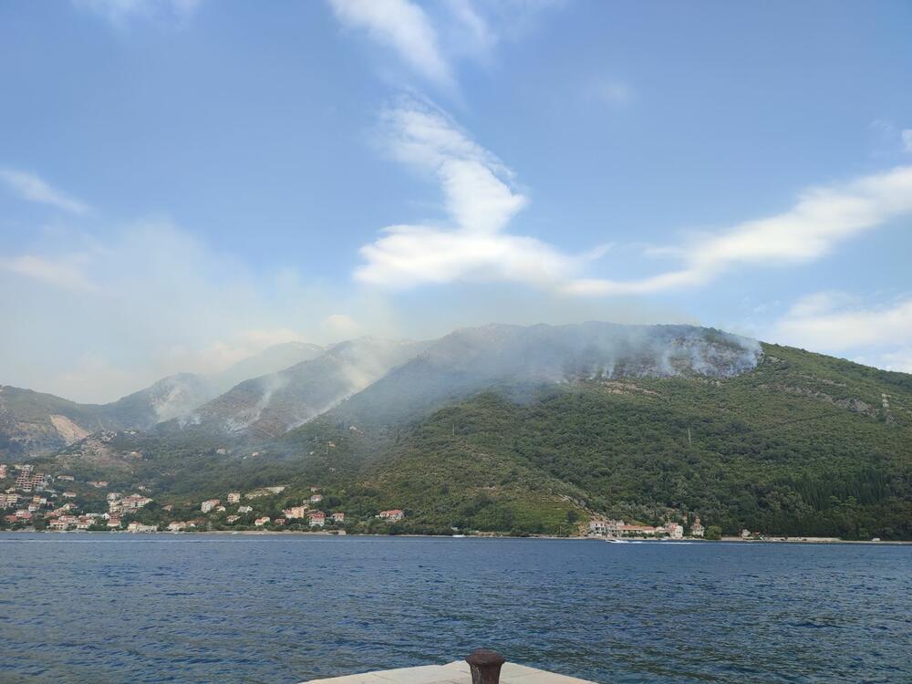 <p>"Vatra je prišla kućama, ali za sada je situacija pod kontrolom", rekao je zamjenik komandira Službe zaštite i spašavanja Kotor Eduard Kovačić</p>