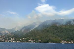 Kotor: Razbuktao se požar na Dražin vrtu, avion MUP-a gasi požar...