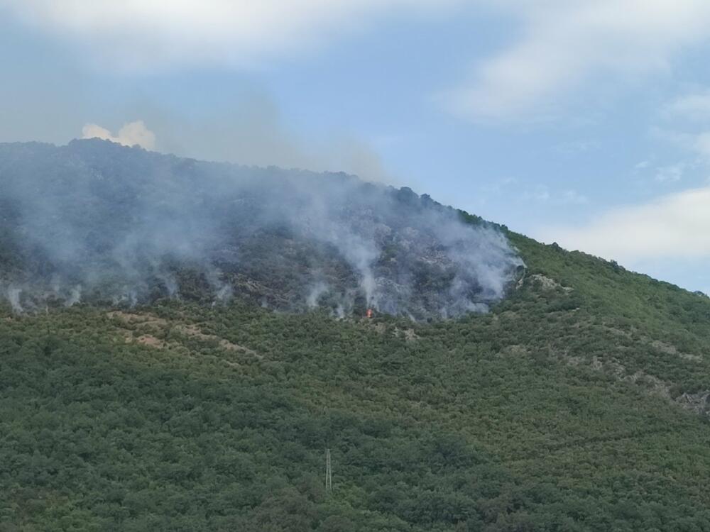<p>"Vatra je prišla kućama, ali za sada je situacija pod kontrolom", rekao je zamjenik komandira Službe zaštite i spašavanja Kotor Eduard Kovačić</p>