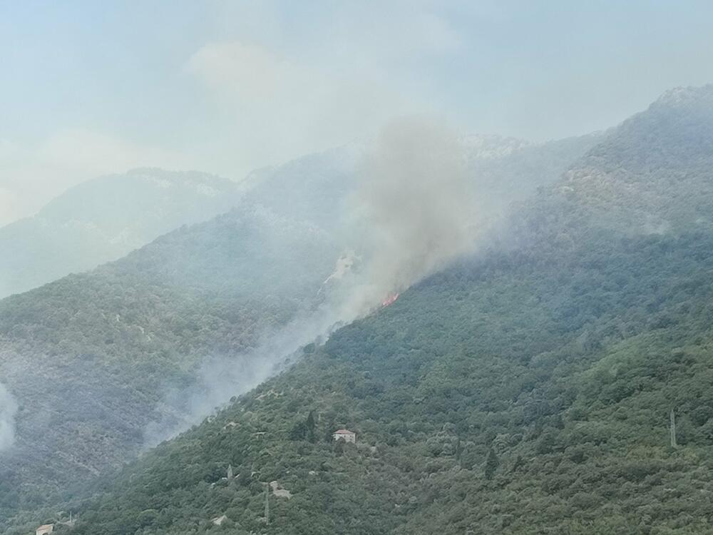 <p>"Vatra je prišla kućama, ali za sada je situacija pod kontrolom", rekao je zamjenik komandira Službe zaštite i spašavanja Kotor Eduard Kovačić</p>