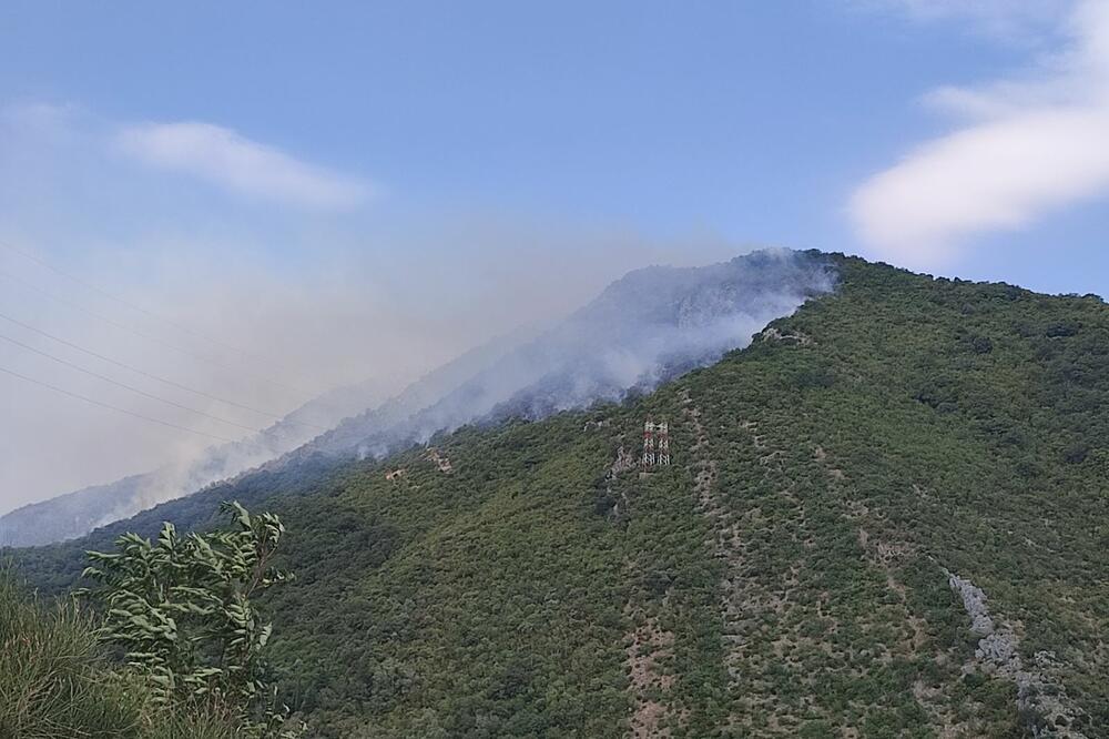 "Radeta i Perović dali veliki doprinos u borbi sa požarima", Foto: Siniša Luković