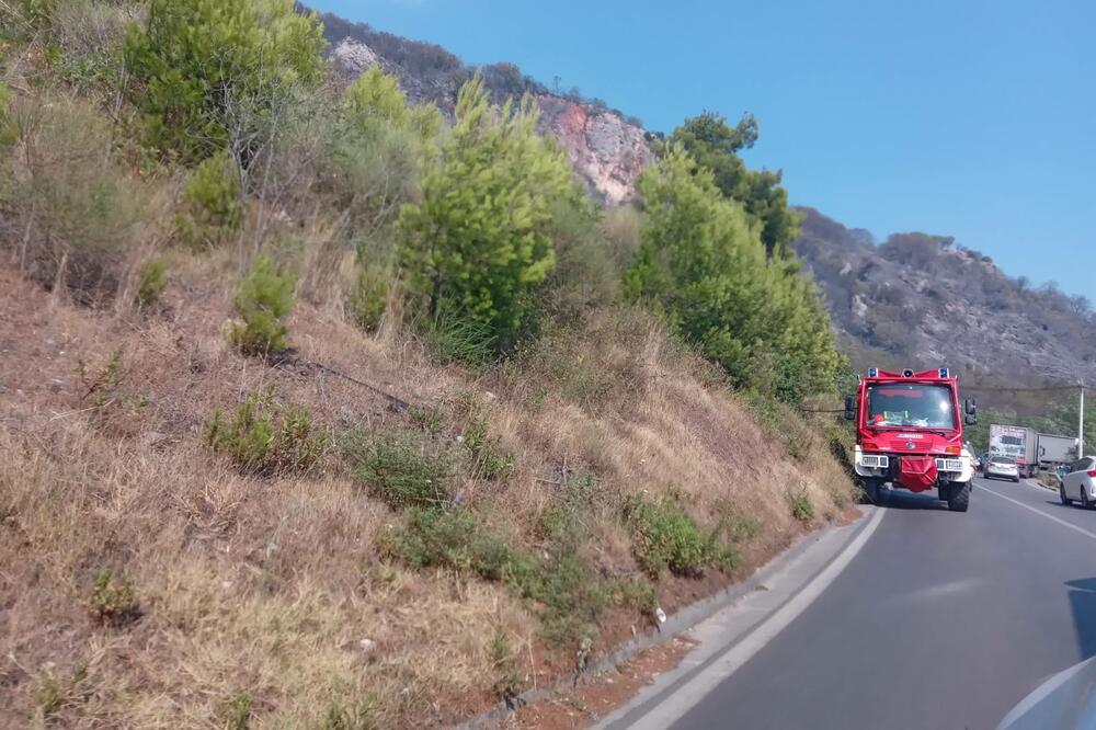 Vatrogasno vozilo (ilustracija), Foto: Jelena Jovanović