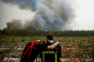 "Čudovišni" požari gutaju hiljade hektara šume