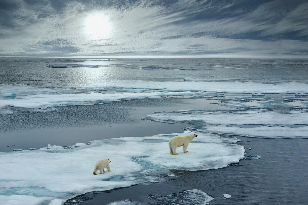 Detalj sa Arktika, Foto: Shutterstock