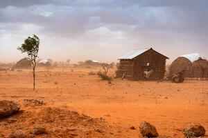 UN i NRC: Suša u Somaliji bez presedana, milion raseljenih, ljudi...