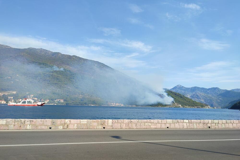 Foto: Siniša Luković