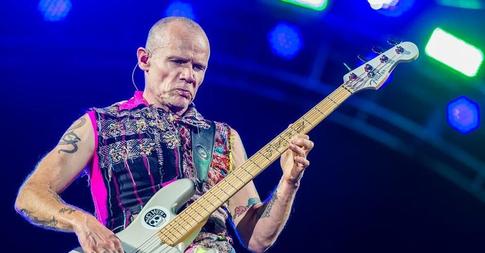 Fli pohvalio film o Hilelu Slovaku