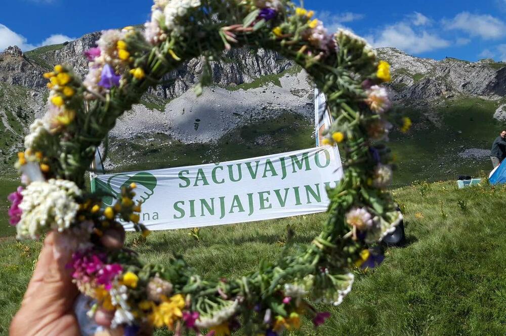 Photo: GI Let's save Sinjajevina