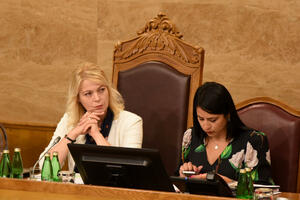 Opština po želji građana ili DPS-a