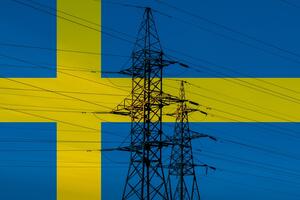 Švedska najavila zakon kojim će olakšati plaćanje visokih zimskih...