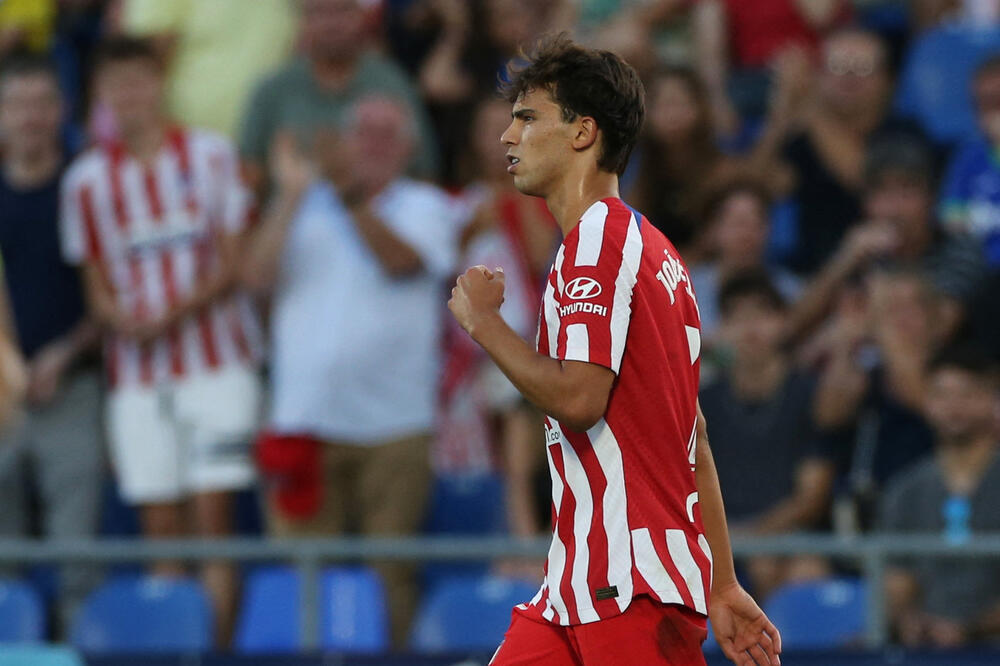 Feliks, Foto: Reuters