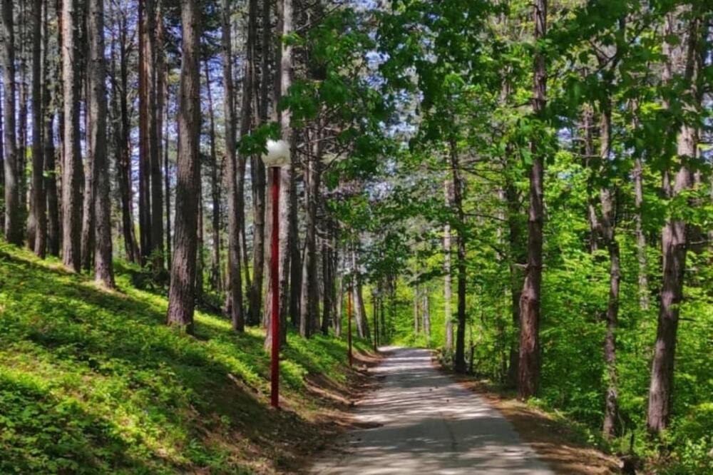 Park šuma Dulovine, Foto: Dragana Šćepanović
