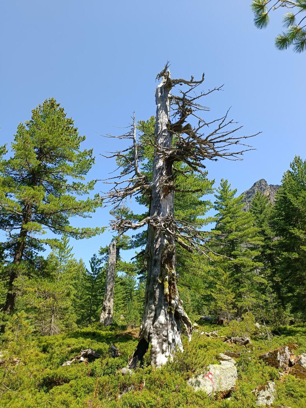 <p>Novinari iz Crne Gore upoznali se s ljepotama najmlađeg nacionalnog parka, u organizaciji Nacionalnih parkova</p>