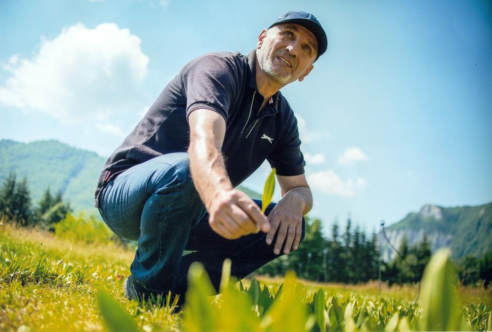 Milan Mikan Medenica