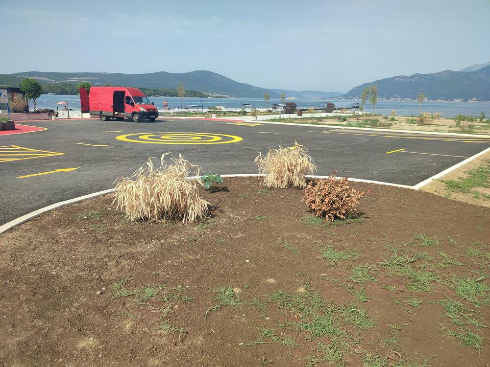 Posađeno drveće i ukrasno bilje se većim dijelom već osušilo