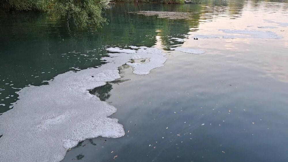 <p>Ribari traže od državnih organa da se oglase povodom incidenta koji kako tvrde, uništava floru i faunu Bojane ali i ugrožava zdravlje mješana i turista koji vole da se kupaju u rijeci</p>