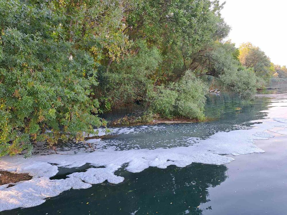 <p>Ribari traže od državnih organa da se oglase povodom incidenta koji kako tvrde, uništava floru i faunu Bojane ali i ugrožava zdravlje mješana i turista koji vole da se kupaju u rijeci</p>