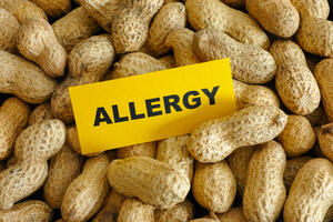 With peanuts against peanut allergy