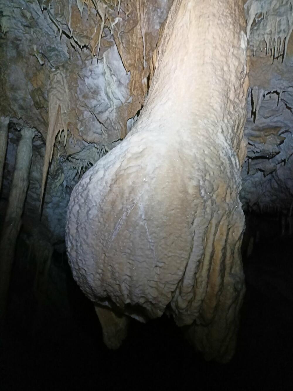 <p>Na valorizaciji najveće pećine na Balkanu, duge 25 kilometara, radi se posljednjih deset godina a u toku je izgradnja žičare od mjesta Podvrh do ulaza</p>