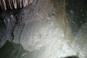 Podnijeta krivična zbog ispisivanja grafita u Đalovića pećini