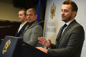 Pomoć ponudili saveznici, ali i domaći stručnjaci