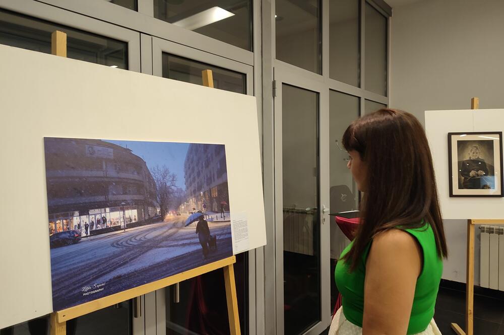 Sa izložbe u Nikšiću, Foto: Svetlana Mandić