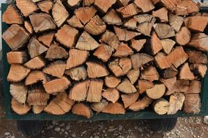 Zbog šumske krađe podnijeta krivična prijava protiv jedne osobe u...