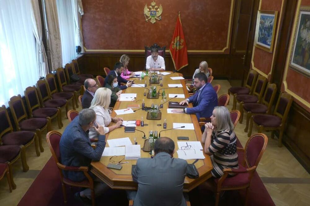 Sa današnje sjednice Ustavnog odbora, Foto: Printscreen YouTube/Skupština Crne Gore