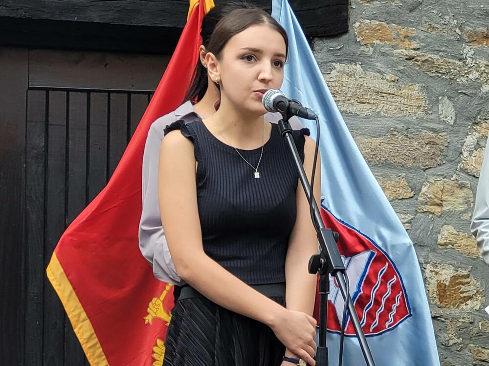 Ratkovićeve večeri poezije