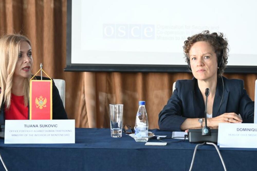 Sa konferencije, Foto: OEBS-Marina Zivaljević