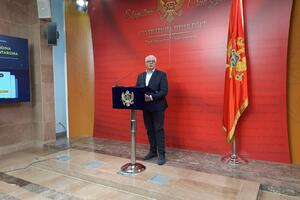 Mandić: Prvo će se birati novi predsjednik Skupštine i njeno...