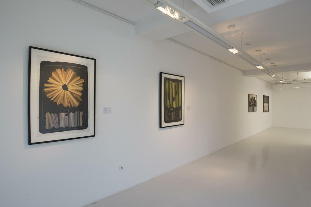 <p>Publika ima priliku da posjeti postavku upriličenu povodom jubileja galerije “Atelje DADO” i drugu, "Ljepota poklanjanja", iz kolekcije Vukmanović iz fonda Umjetničkog muzeja</p>