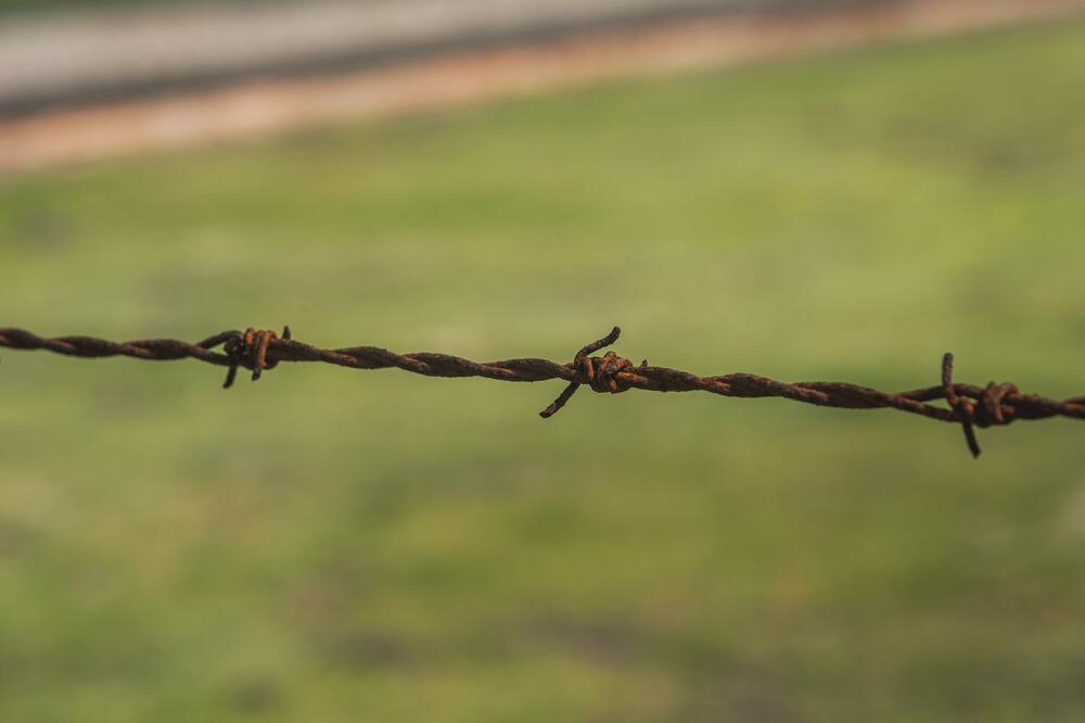 Ilustracija, Foto: Shutterstock