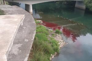 Izlivanje krvi u Lim? (VIDEO)