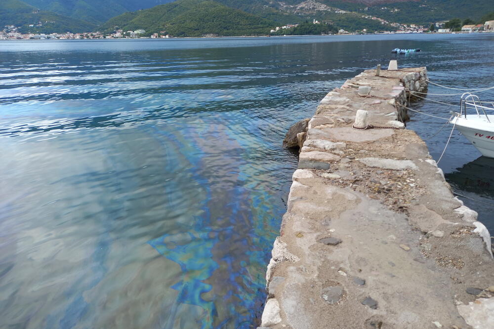 Mrlja u moru u Donjoj Lastvi, Foto: Siniša Luković