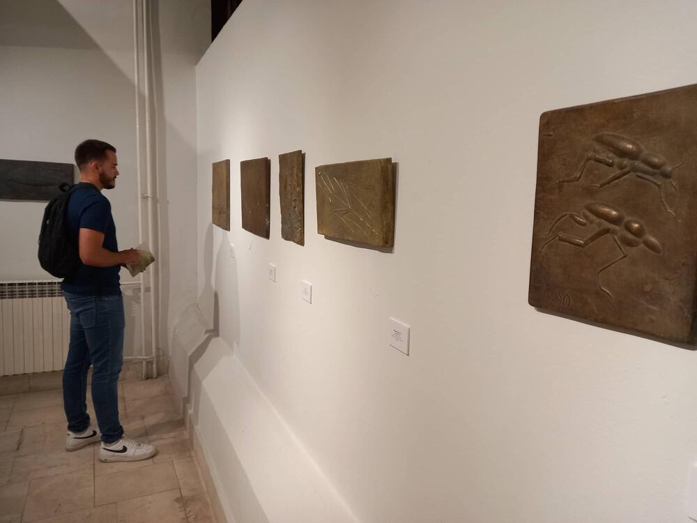 izložba Nikola Vukosavljević