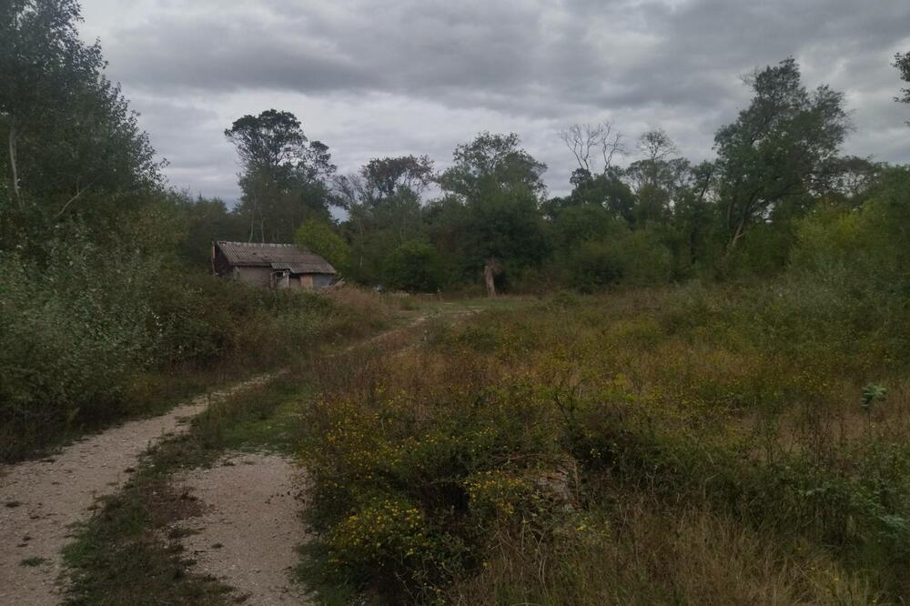 Dio oduzete imovine, Foto: Samir Adrović