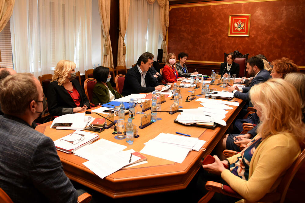 Tročlana komisija razmatra prijave: Sa ranije sjednice Ustavnog odbor, Foto: BORIS PEJOVIC