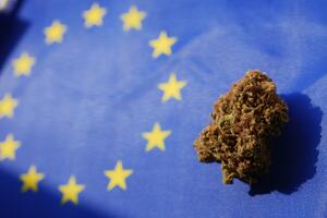 EU i marihuana - i ovako i onako