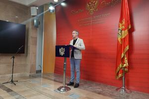 Danilović: Svako mora biti spreman da se odrekne dijela početnih...