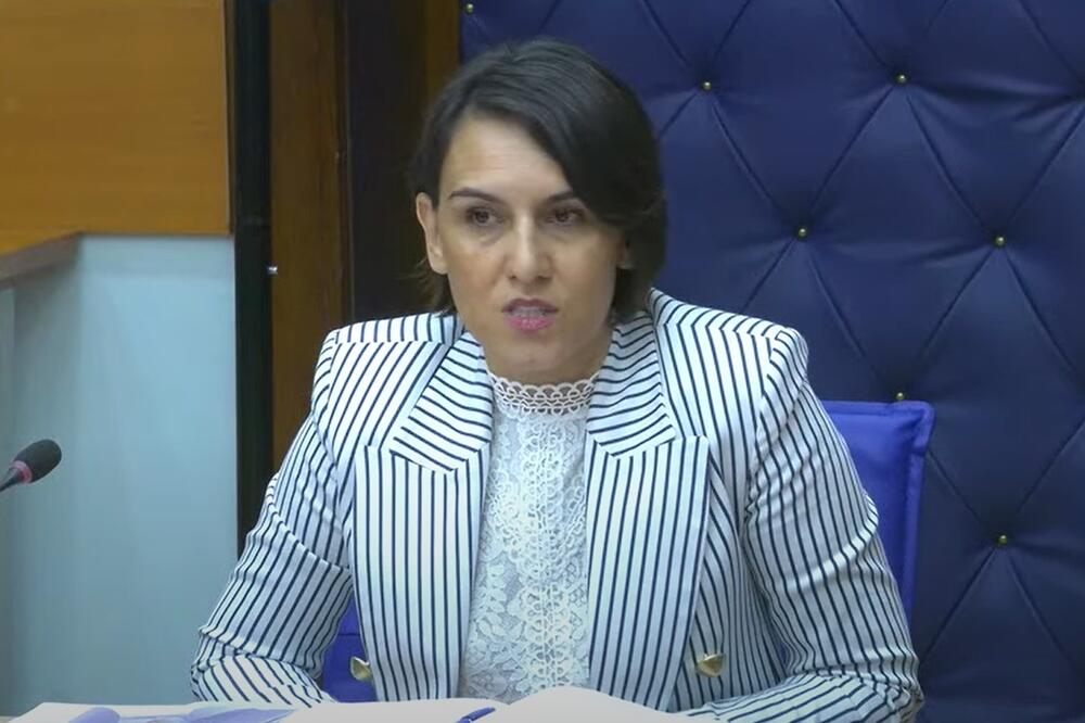 Bulatović pred Ustavnim odborom, Foto: Screenshot/Youtube