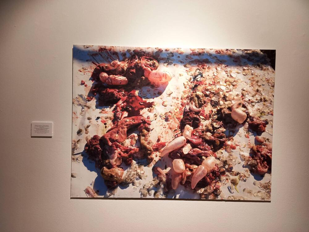 <p>Mi žene sve što je šokantno prolazimo same, i zašto onda ne bih sve to pokazala ljudima”, poručuje angažovana umjetnica iz Tivta koja se predstavlja u Podgorici, u galeriji “Perjanički dom”</p>