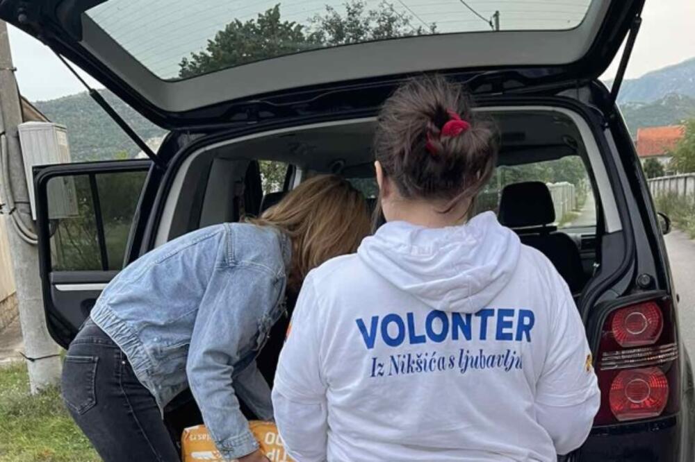 Detalj sa akcije, Foto: ALFA centar