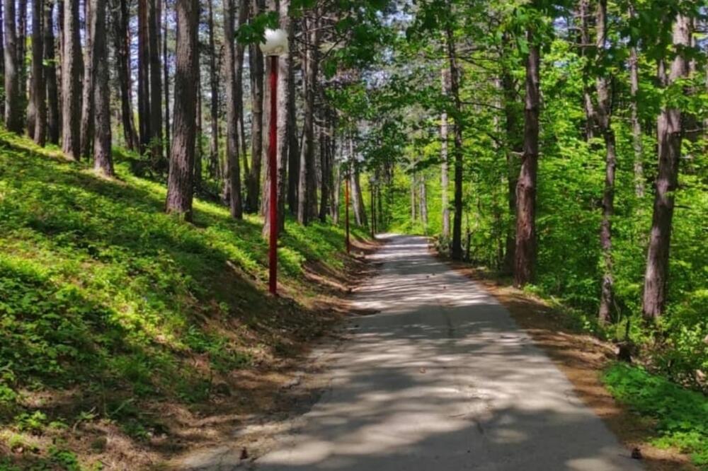 Park šuma Dulovine, Foto: Dragana Šćepanović