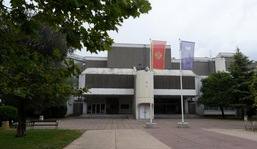 UCG, Univerzitet Crne Gore