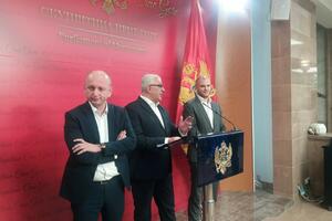 Mandić: Stranke dogovorile da formiraju novu vladu, mandatar Lekić