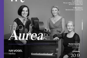 Trio "Aurea" u Muzičkom centru