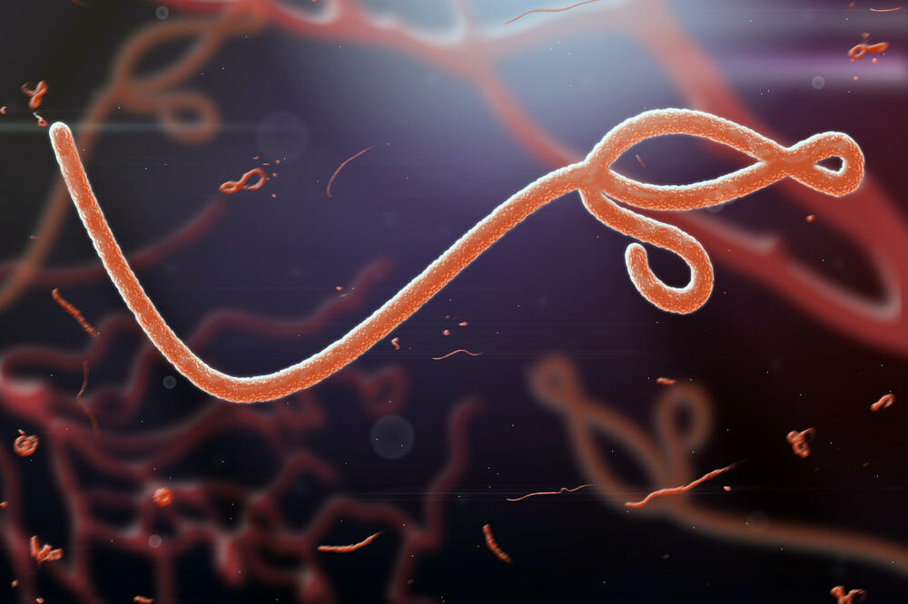 Ilustracija, Foto: Shutterstock