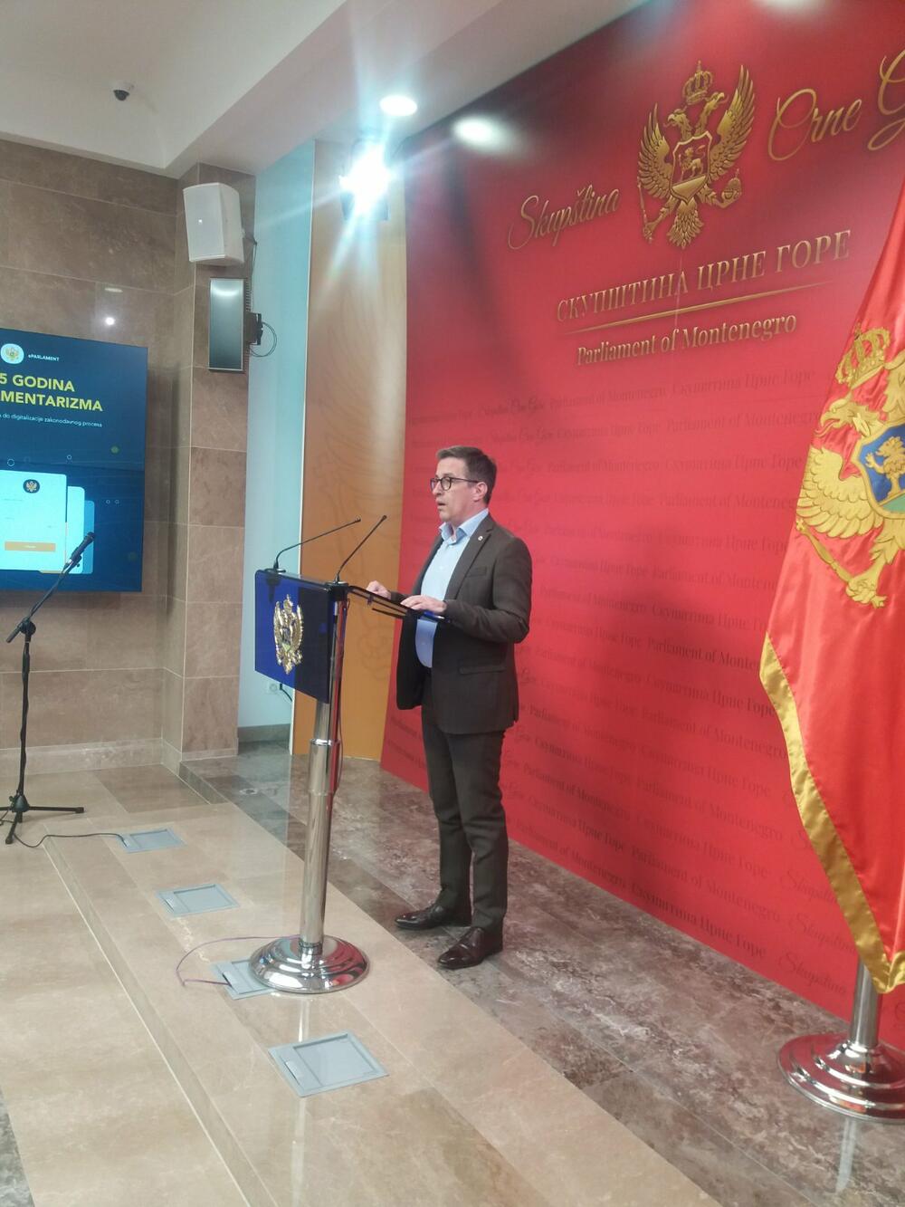 Vladimir Dobričanin